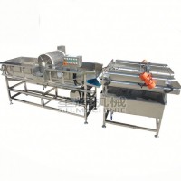 Cheap Industry Jerusalem Artichoke Washing Rinsing Machine